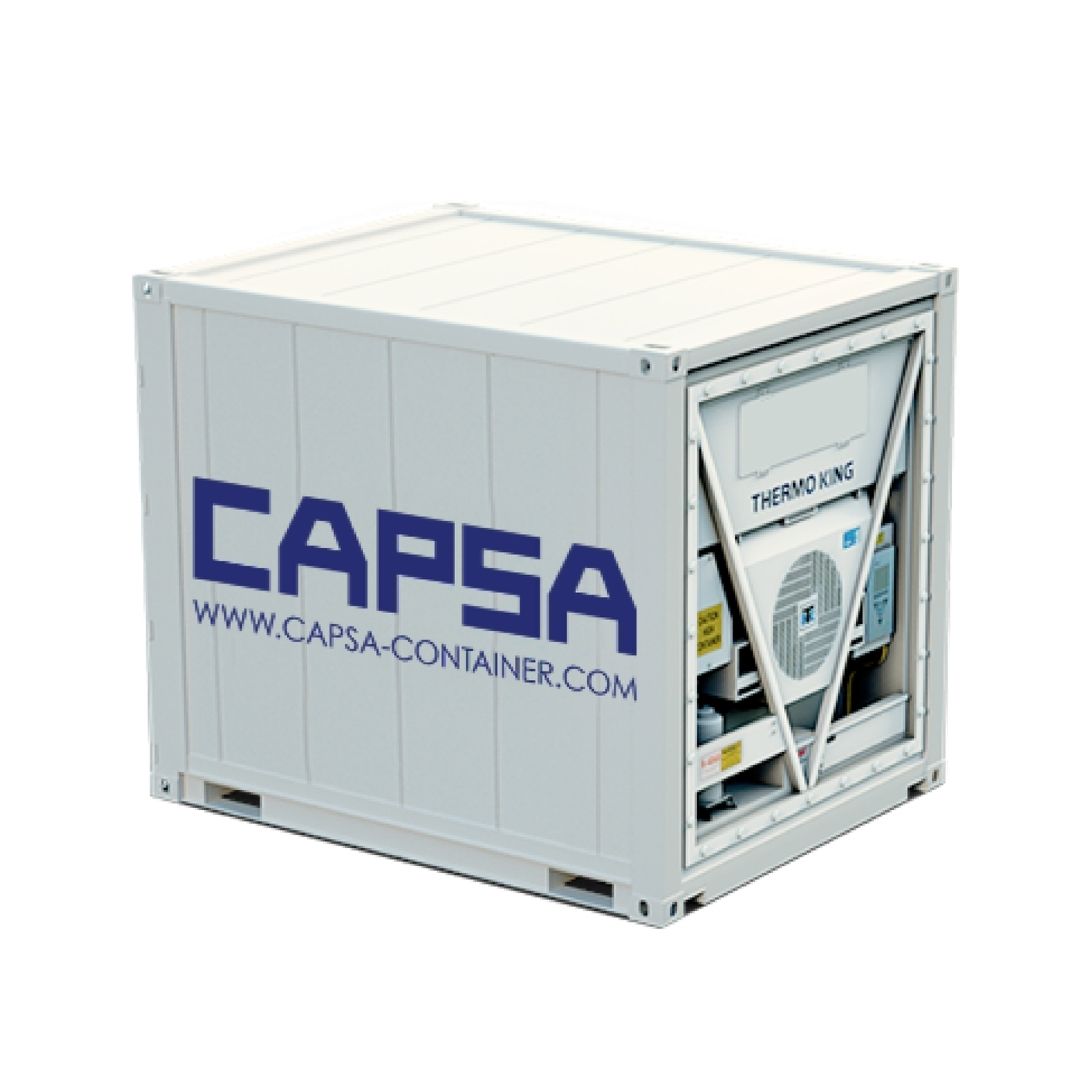 Container frigorifique 10 pieds occasion